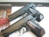 Twins DW Guardian-001.JPG