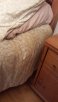 bed1.jpg