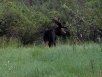 20170810_070225.jpg