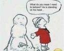 img.png