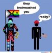 they-brainwashed-you.jpg