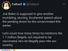 joe-biden4273.jpg