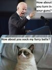 Biden-guns.jpg