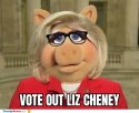 vote-this-pig-out.jpg