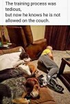 couch.jpg