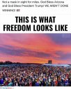 what-it-looks-like.jpg