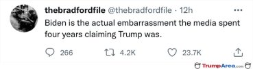 the-actual-embarrassment.jpg