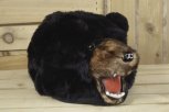 Bear-Hat_8470-l.jpg