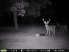 home bucks 025.JPG