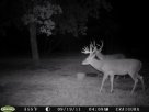 home bucks 038.JPG