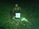image-1182399650.png