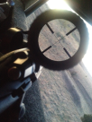 image-3651852331.png