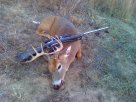 ruger.jpg