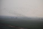 DSC_0073.JPG
