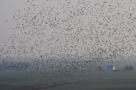 DSC_0070.JPG
