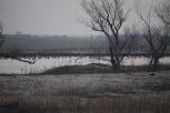 DSC_0063.JPG
