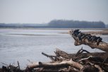DSC_0098.JPG