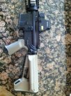 Garretts AR4.jpg
