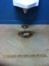 ImageUploadedByTapatalk1340491979.754444.jpg