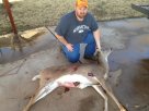 Doe 11-17-12.JPG