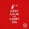 keep_calm_carry_on_gun_rights.jpg
