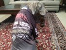 20130414_1546001.jpg