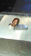 IMG_20130420_151044_687.jpg