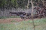 DSC_0063.JPG