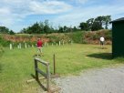 20130629_104202.jpg