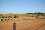 DSC_0174.JPG