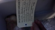 20131104_101043.jpg