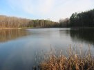 IMG_0001.JPG