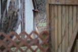 DSC_0254.JPG