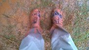 WP_20140906_007.jpg