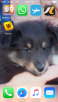 6D376745-319D-4BBA-BCAF-29E718B705D3.png