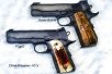 DanWesson 45's.jpg
