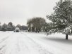 326DDA3A-DF5C-4179-9C8E-AC0552368BC4.jpeg