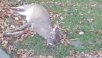 20181113_073231.jpg