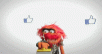 like-muppet.gif