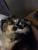 6D99C79D-3108-42AE-9525-CC7B2B41AD6C.jpeg