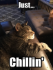 0A8EF911-F3B0-40F0-A939-AA118EAB95AE.png