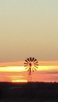 781D27DF-10F7-4BD3-B032-CF69BE9758D2.png