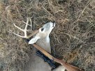 Buck'15.JPG