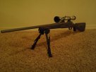 Rifle1.JPG
