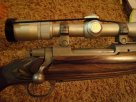 Rifle2.JPG