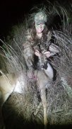 aubs bp deer.jpeg