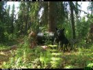 IMG_6177.JPG