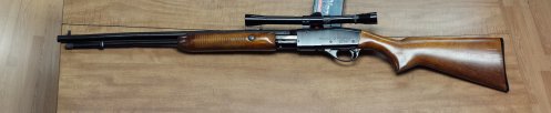 Remington 572 22 caliber..jpg