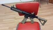 Smith & Wesson AR 15, 22 caliber.jpg