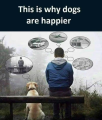 1644290634107.png